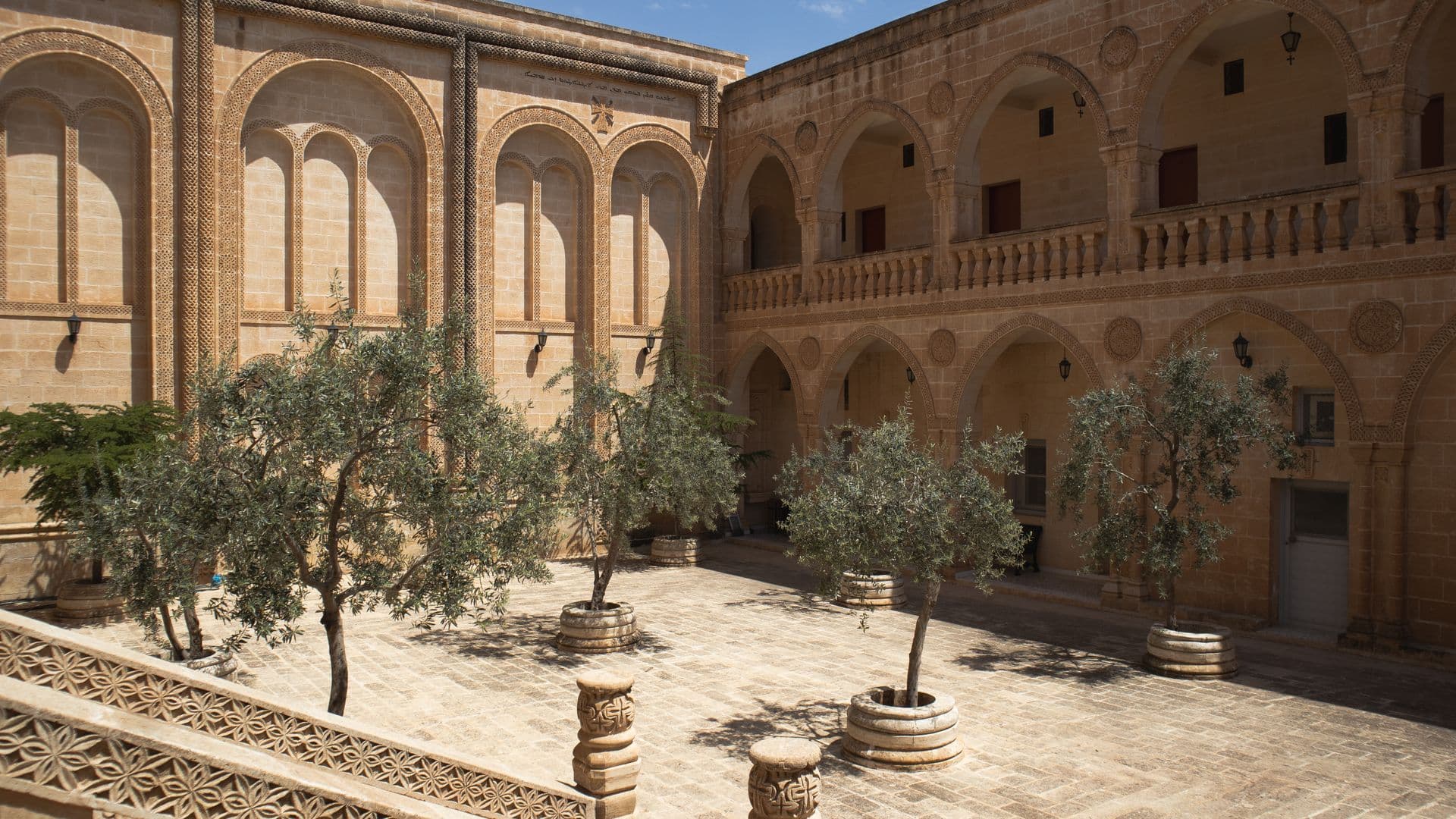 Cour minérale ombragée par un olivier