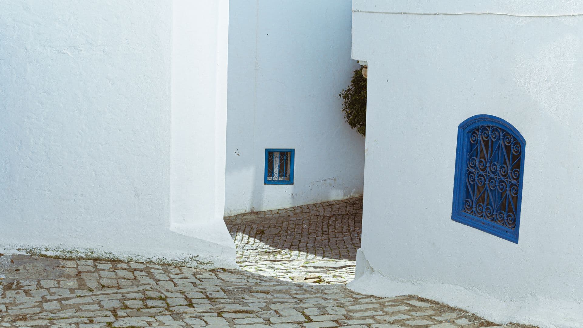Architecture blanche et bleue de la Villa Sidi Bou Saïd